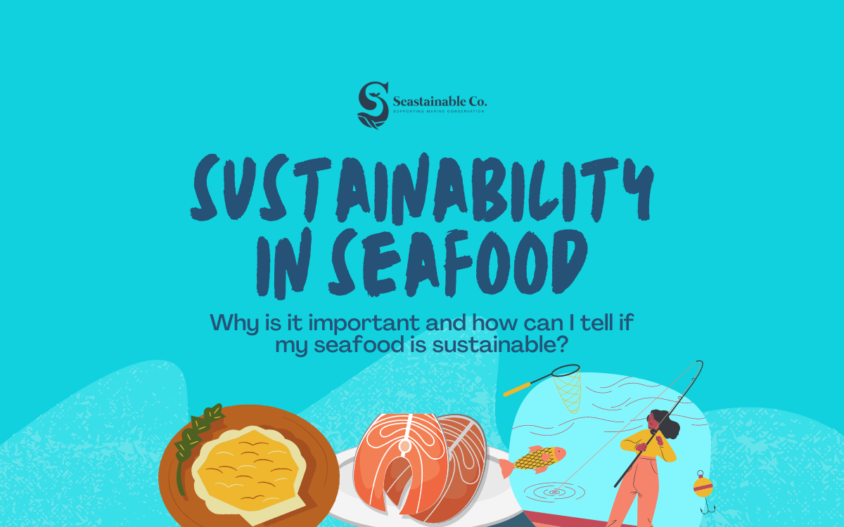 Sustainability In Seafood | Singapore – Seastainable